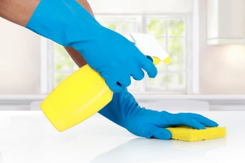 Illustration of SSL-protected online payment for cleaning services