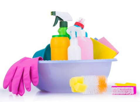 Cleaning team preparing a professional service booking