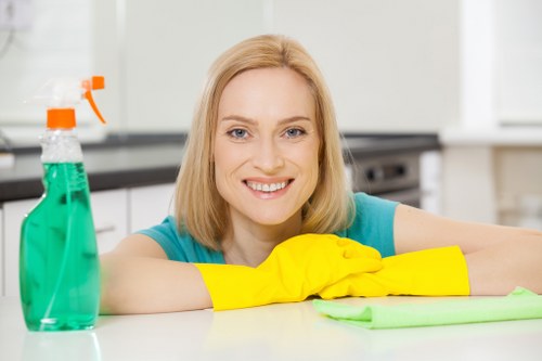 Screen reader compatible cleaning service information for Enfield