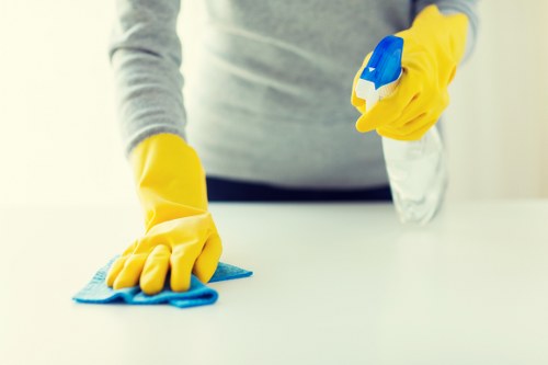 Enfield cleaners completing a professional safety review