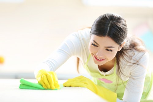 Fabric and leather sofa cleaning in Enfield property