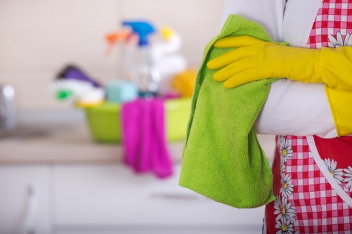 Final section on safe and responsible cleaning standards