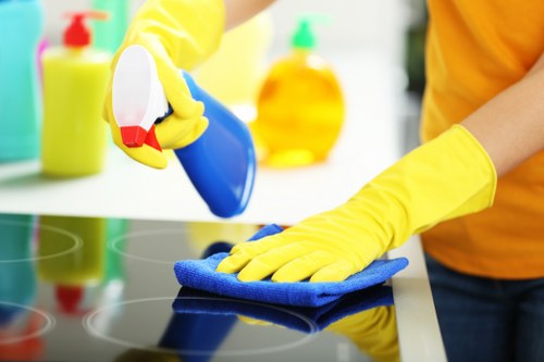 Preparation and inspection before stain treatment begins