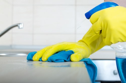 Local cleaner working in an Enfield household