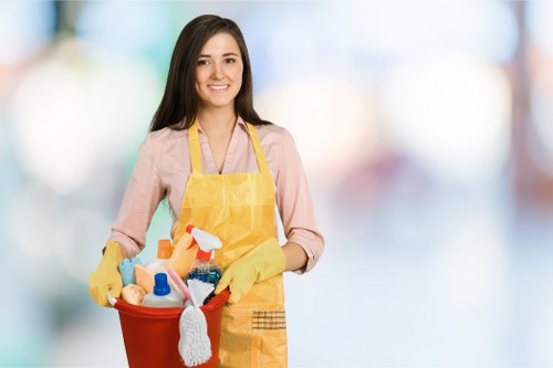 Protective PPE used during professional cleaning work